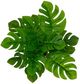 A & B Home Green 10" Leaves with Pot-2