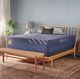 Sealy® Golden Elegance Forsyth Park 14" Hybrid Soft Tight Top Split California King Mattress-1