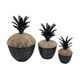 A & B Home 3-Piece Black/Brown Decorative Lidded Jar Set-0