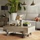 Olliix by INK+IVY Reclaimed Brown/Gun Metal Timber Coffee Table-2