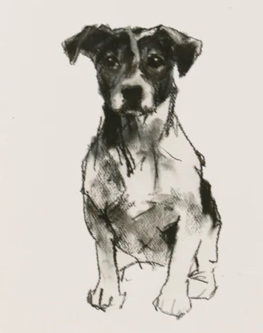 Stylecraft Modern Dog I Wall Art-1