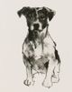 Stylecraft Modern Dog I Wall Art-1