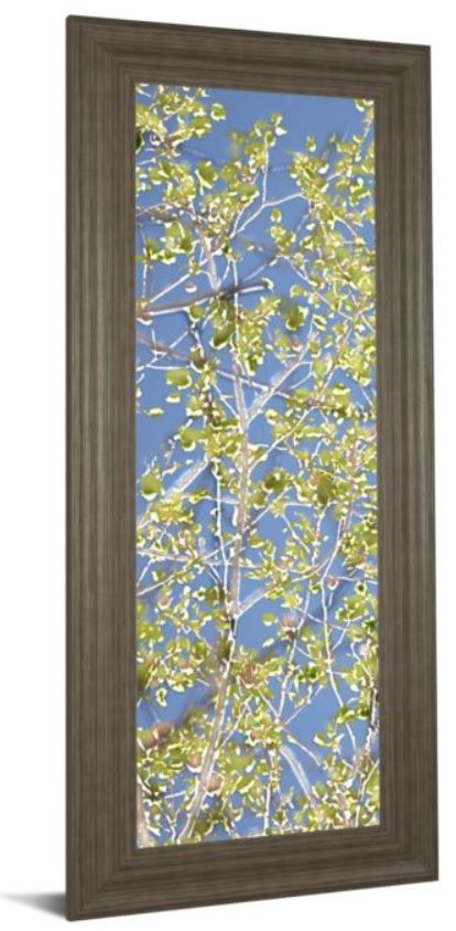 Classy Art Spring Poplars l by Sharon Chandler Framed Print Wall Art-0
