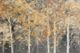 Stylecraft Golden Forest Light Black/Dark Gray/Light Orange/Orange/Silver Wall Art -2