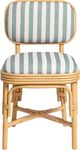 TOV Furniture Dorine Beige/Mint Green/Natural Dining Side Chair-3