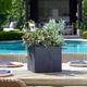 Uttermost® Greystone Green/Matte Black Indoor-Outdoor Succulent-1