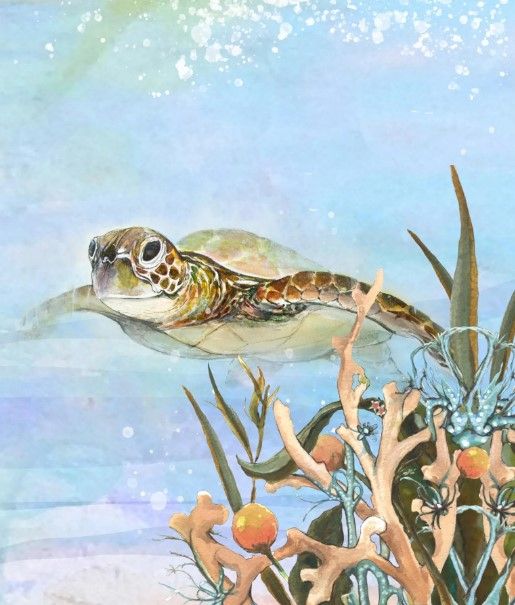 Classy Art Turtle by the Reef II by Diannart Wall Art-0