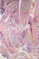 Dalyn™ Rug Company Kikiamo KK6 Primrose 5'x8' Area Rug-0