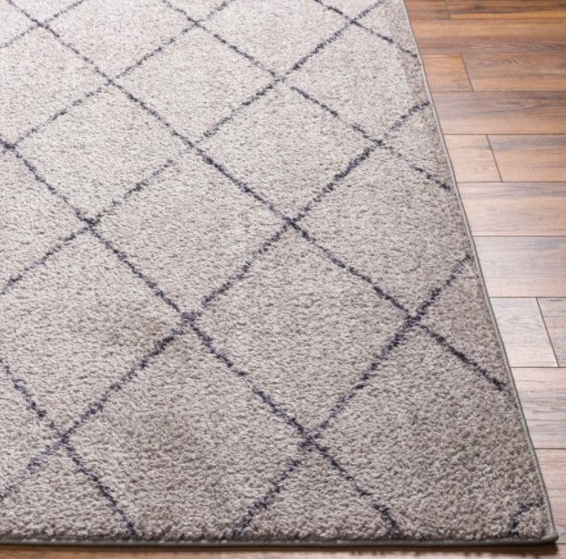 Surya Lykke Gray 4'x6' Area Rug-1
