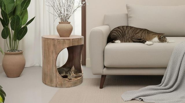 Nest Home Collections Brook Antique Natural End Table-1