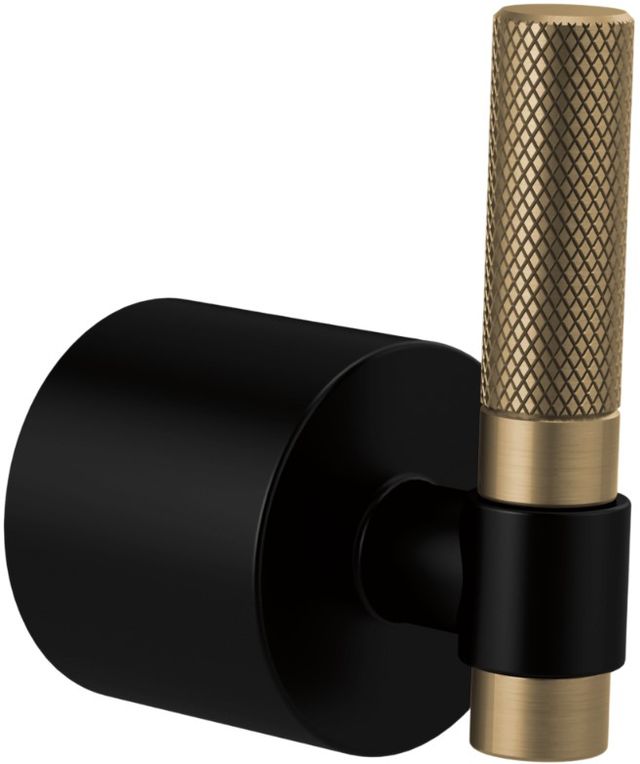 Brizo Litze® Matte Black/Brilliance® Luxe Gold® Single-Handle Floor Mount Tub Filler T-Lever Handle Kit-0