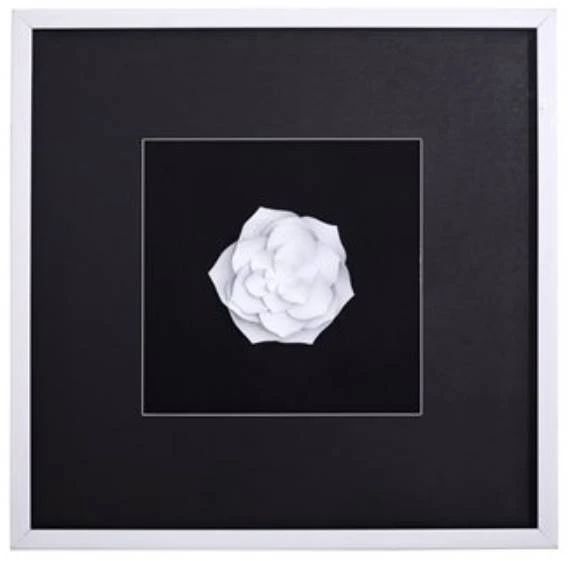 YHD Papayrus I Wall Art-0
