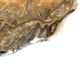 A & B Home Carmelita Amber/Black/White Hand-Carved Onyx Bowl-1