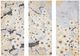 Olliix by Madison Park Gleeful Bloom Yellow 3 Piece Yellow Hand Embellished Printed Canvas Set-0