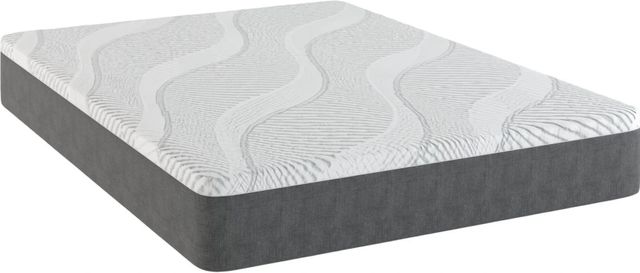 Sherwood® Bedding XXV Selene Diez 10" Memory Foam Firm Tight Top King Mattress in a Box-0