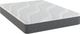 Sherwood® Bedding XXV Selene Diez 10" Memory Foam Firm Tight Top King Mattress in a Box-0