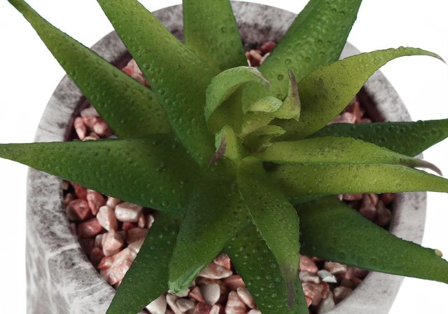 Monarch Specialties Inc. 2-Piece Grey 6" Tall Artificial Potted Succulent-3