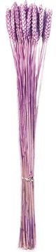 A & B Home Purple Triticun -0