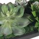 Uttermost® Verde Black/Green Succulent Centerpiece in Bowl-4