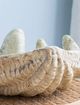 A & B Home Beige Medium Clam Shell Decorative Object-3