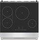 Thor Kitchen® X Series 30" Stainless Steel Freestanding Pro Style Induction Range-5