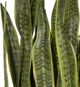 Uttermost® Fasita Antique Brass/Green Planter-2