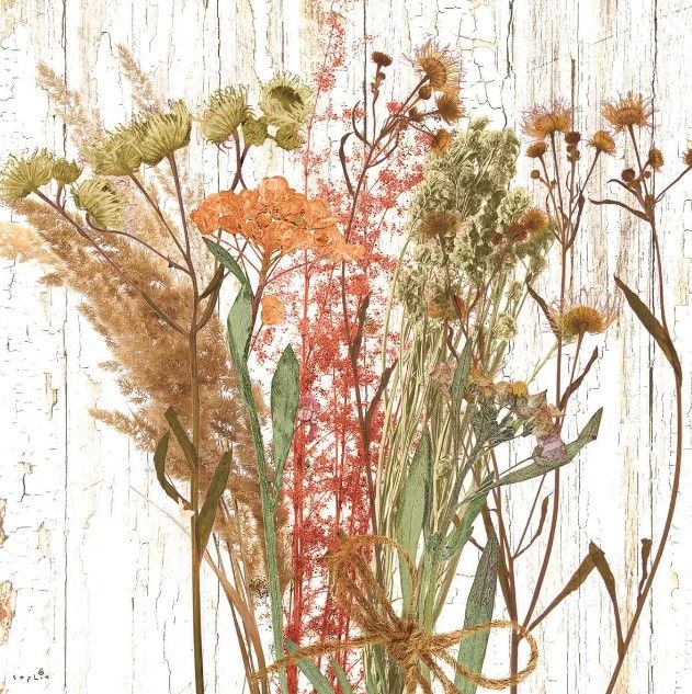 Classy Art Earth Party II by Sophie Six Wall Art-0