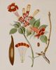 Stylecraft Brown/Green/Light Brown/Light Green/Off-White/Orange/Red/White Wall Art-1