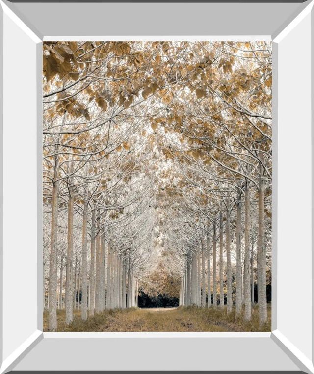 Classy Art White Gold by Assaf Frank Mirror Framed Wall Art-0