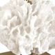 Uttermost® Caronia Ivory Buffet Lamp with Antique Brass Accent-4