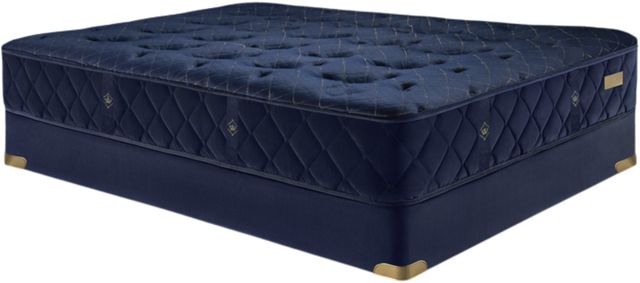 Chattam & Wells™ Princess Palermo 14" Wrapped Coil Medium Tight Top Twin Mattress-2