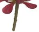 A & B Home Burgundy Faux Dudleya Succulent Stem-1