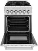 ZLINE 24" Stainless Steel Pro Style Dual Fuel Range-1