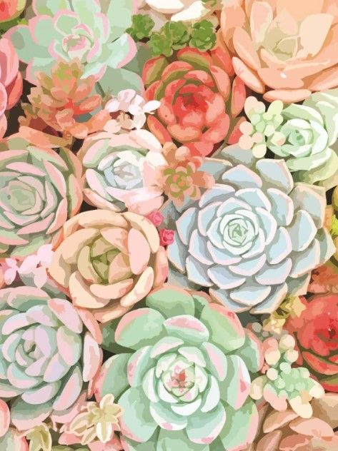 Classy Art Succulent by Tamara Robinson Wall Art-0
