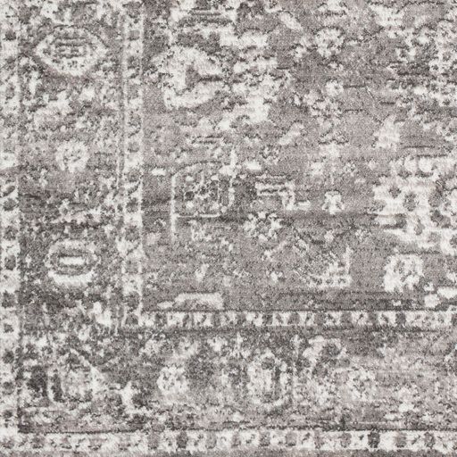 Surya Monte Carlo Light Gray 3'x7' Runner Rug-3
