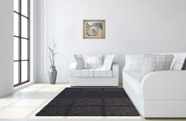 Classy Art Beige Nautilus by Levine, A. Wall Art-2