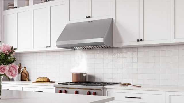 Broan-NuTone® E60000 Series 30" Stainless Steel Under Cabinet Canopy Range Hood-1