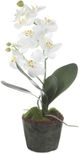 Uttermost® Laris Black/Green/White Orchid-0