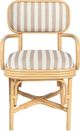 TOV Furniture Dorine Beige/Khaki/Natural Dining Arm Chair-3