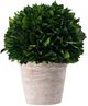 A & B Home Green/Red Washed 12" Holly Potted Ball-0