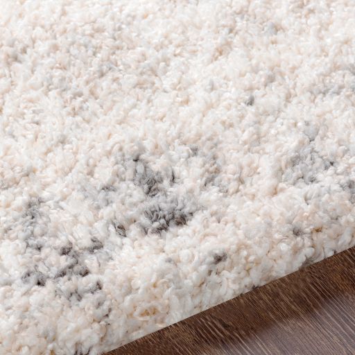 Surya Eskimo Shag Cream/Gray 8'x10' Area Rug-3