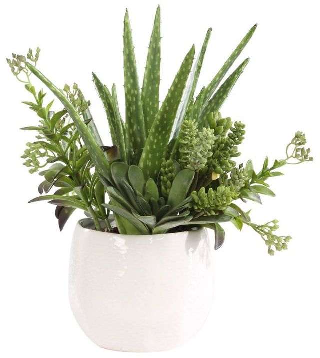 Uttermost® Sundown Succulent Green/White Accent Planter-2
