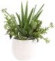 Uttermost® Sundown Succulent Green/White Accent Planter-2