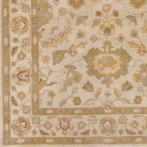 Surya Crowne Beige 6'x9' Area Rug-1