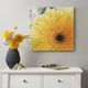 Olliix by Mi Zone Vibrant Yellow Yellow Gel Coated Canvas-3