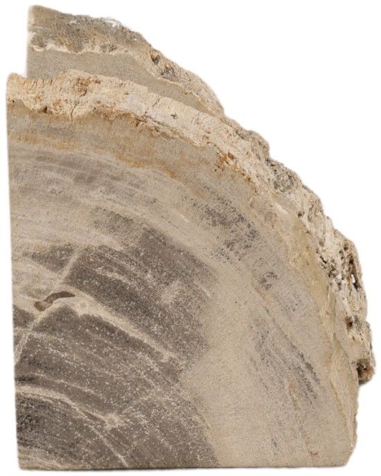 Dovetail Furniture Pedroso 2-Piece Natural Bookend Set-2