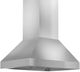 ZLINE 36" Stainless Steel Professional Outdoor Island Range Hood-0