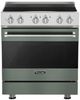 Viking® 3 Series 30" Eucalyptus Pro Style Induction Range-0