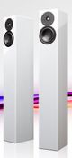 Totem Acoustics High-Fidelity Floor Standing Speaker-5
