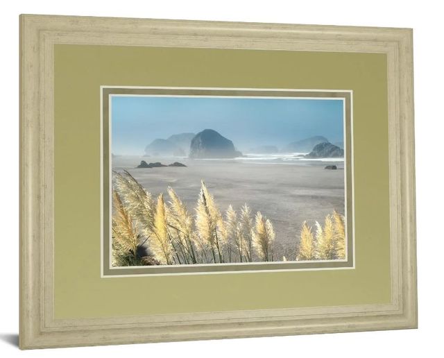 Classy Art Pompas Beach by Frates Wall Art-1